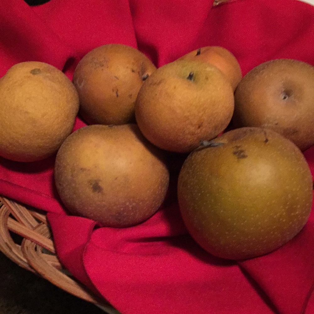 Meet your Posher, Jeffery